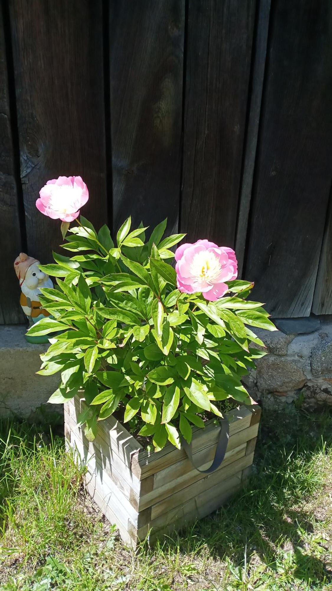 Bed and Breakfast Le Relais De Rochepaule Exterior foto